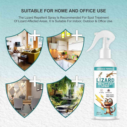 Lizard Mite & Insects Repellent Spray - Pack of 2 (Buy 1 Get 1 Free)
